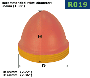 R019