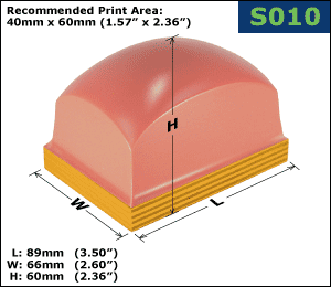 S010