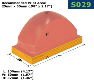 S029