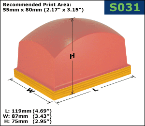 S031